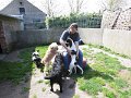 afb_20160506 (4)